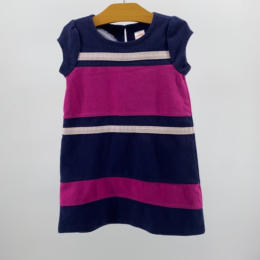 Gymboree Navy Blue and Pink Shift Dress